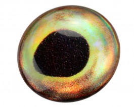 3D Epoxy Fish Eyes, Holographic Perch, 10 mm
